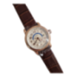 Men's Mechanical Watch with Brown Strap and Date Function