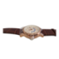 Men's Mechanical Watch with Brown Strap and Date Function