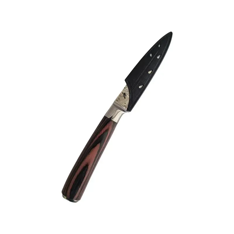 Kitchen Knife with Hardened Blade and Wooden Handle