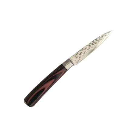 Kitchen Knife with Hardened Blade and Wooden Handle