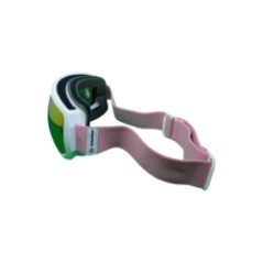 ski goggles back view
