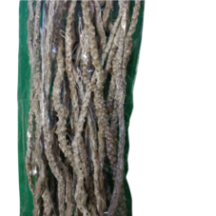 Close-up of the texture of natural dry branches in packaging