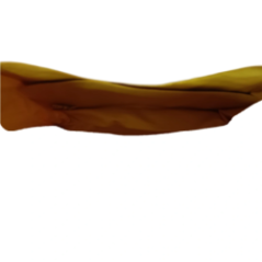 Interior of the bag showing the internal pocket