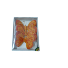 Decorative butterfly in packaging with transparent film on a green background