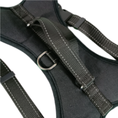 Back view of harness with metal ring and adjustable straps